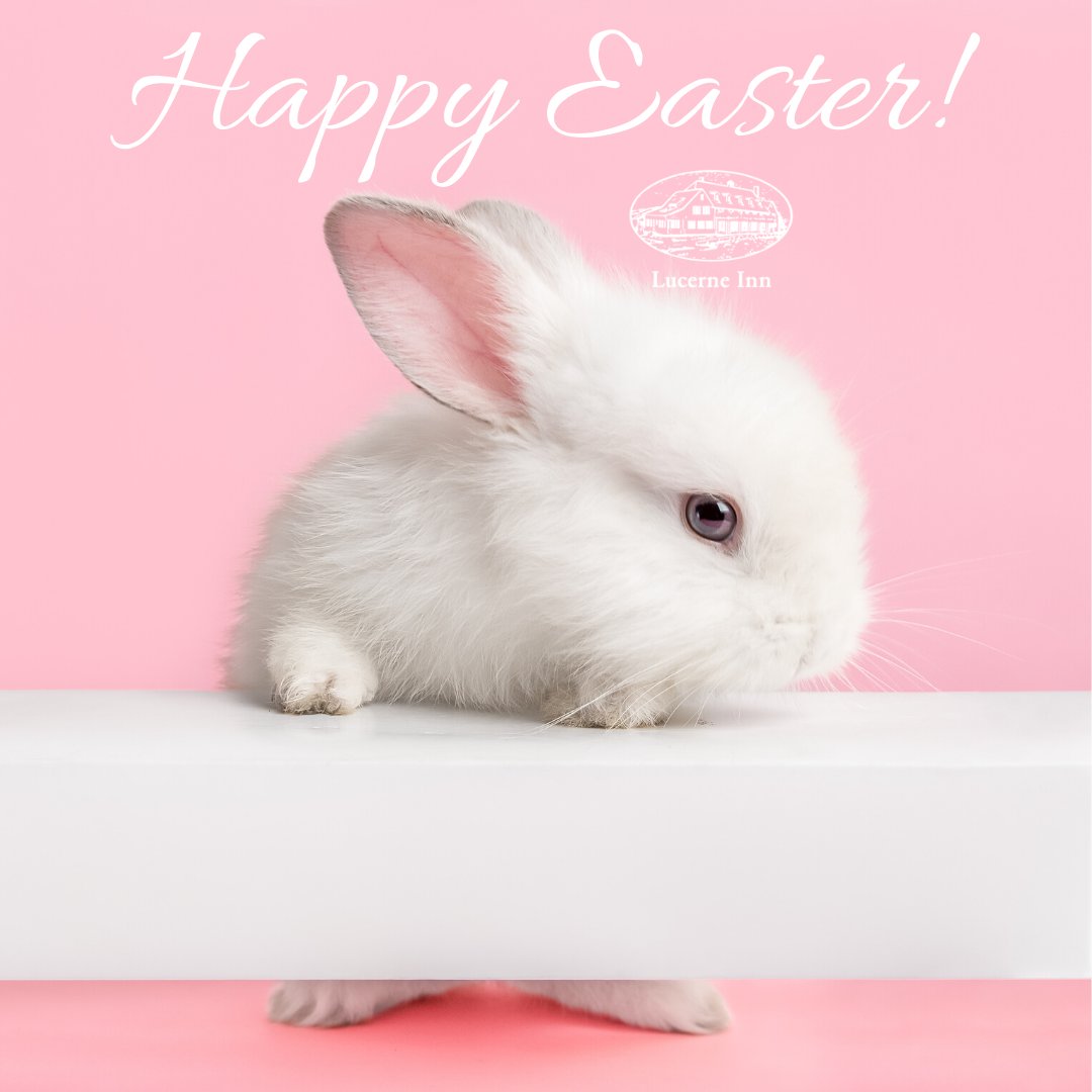Happy Easter from our family to yours! 🐰🐣💕