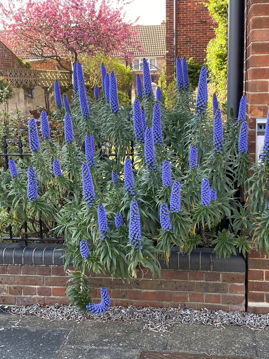 Martyn Cox tweet media