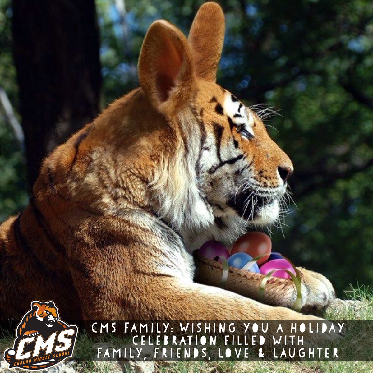 Happy Easter Chacon Tiger Family! 🐾🧡🙌🏻🙏🏼 <a href="/MercedesSchools/">MercedesSchools</a> <a href="/CarolynMendiol1/">Carolyn Mendiola</a>