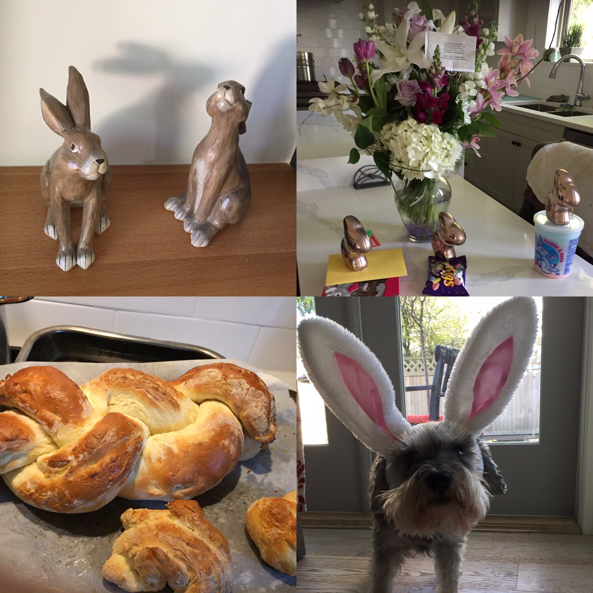 colangelo_lisa's tweet image. Happy Easter to my family, friends and colleagues near and far. @mollyyeg #EasterBread #HappyEaster