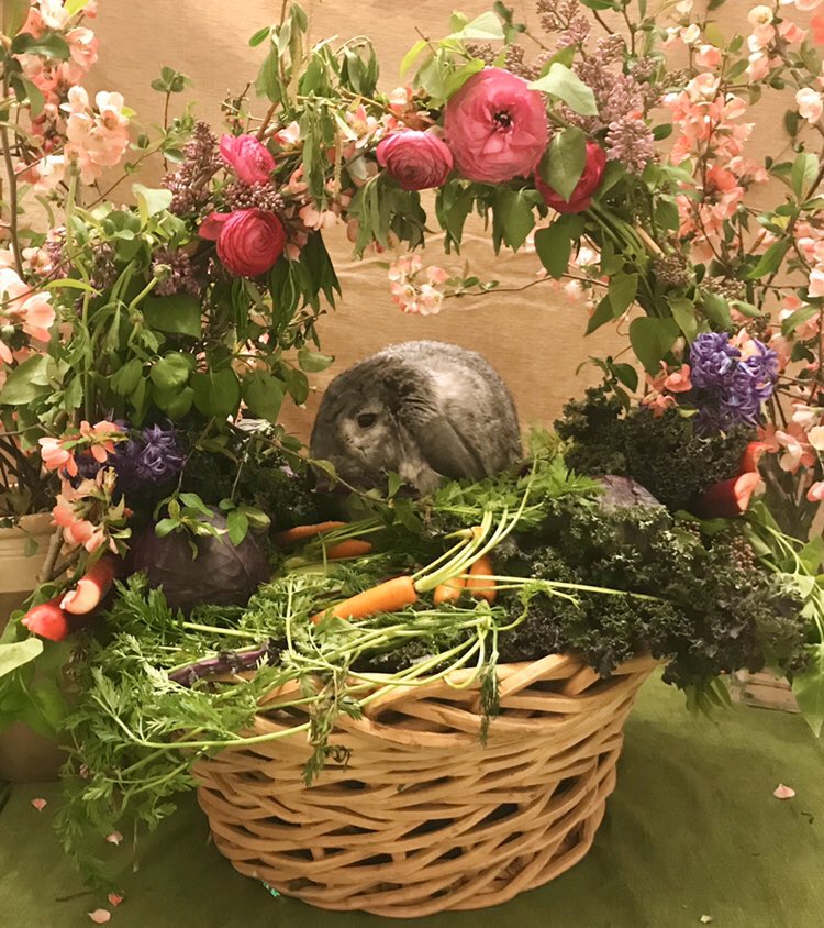 The Grabbits tweet media