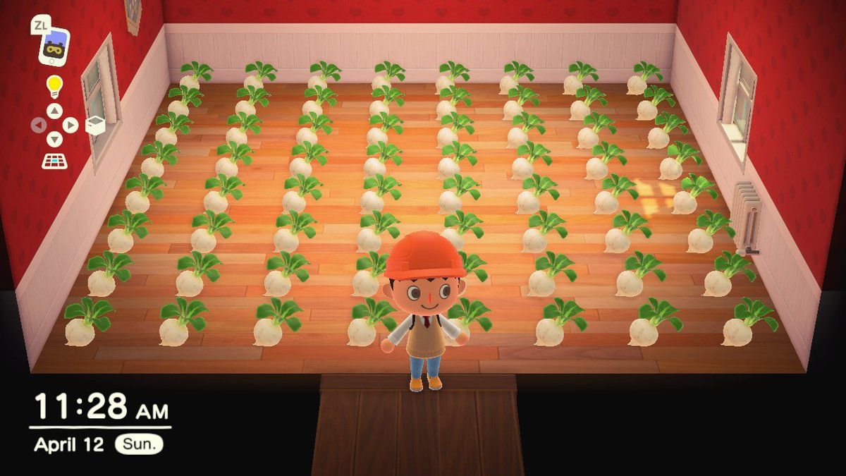 MonkeyStream's tweet image. #AnimalCrossing #ACNH #NintendoSwitch I'm ready