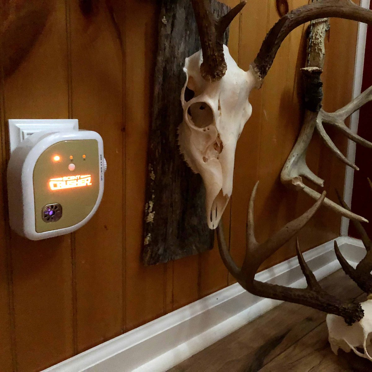 ScentCrusherCo's tweet photo. An easy way to get rid of unwanted odor, in any room! #RoomClean #Ozone https://t.co/kZ5pxQej8Q
.
Photo: Red Rising
#scentoffgameon #scentcrusher #hunting #gonehuntin #bowhunter #deerseason #deerhunting #deerhunter #bowhuntinglife #bowhunting https://t.co/sUNZghVlm7