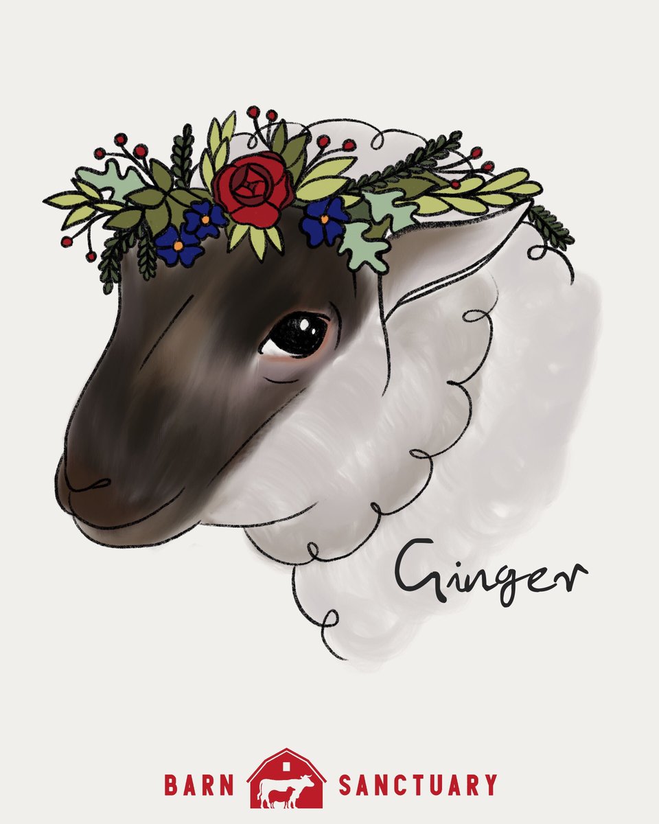 Barn Sanctuary tweet media