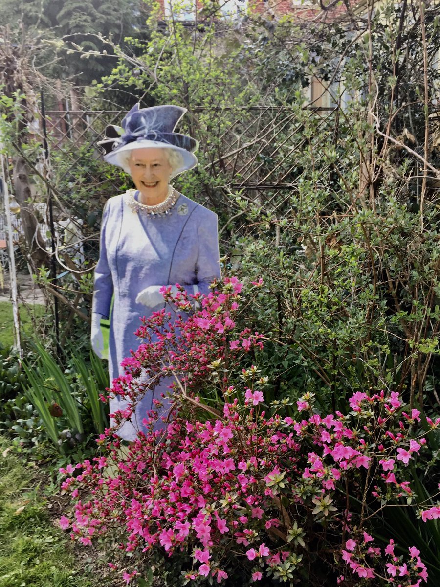 How kind of Her Majesty to drop by in my garden to ask how I’m coping. I was well chuffed!