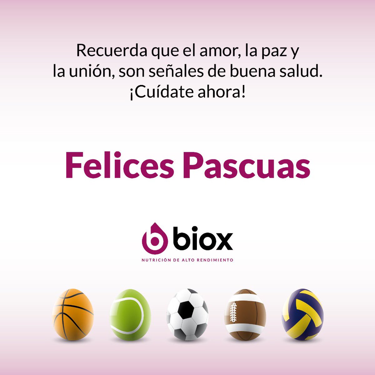teambiox's tweet photo. #FelicesPascuas https://t.co/FESl9EkNP3