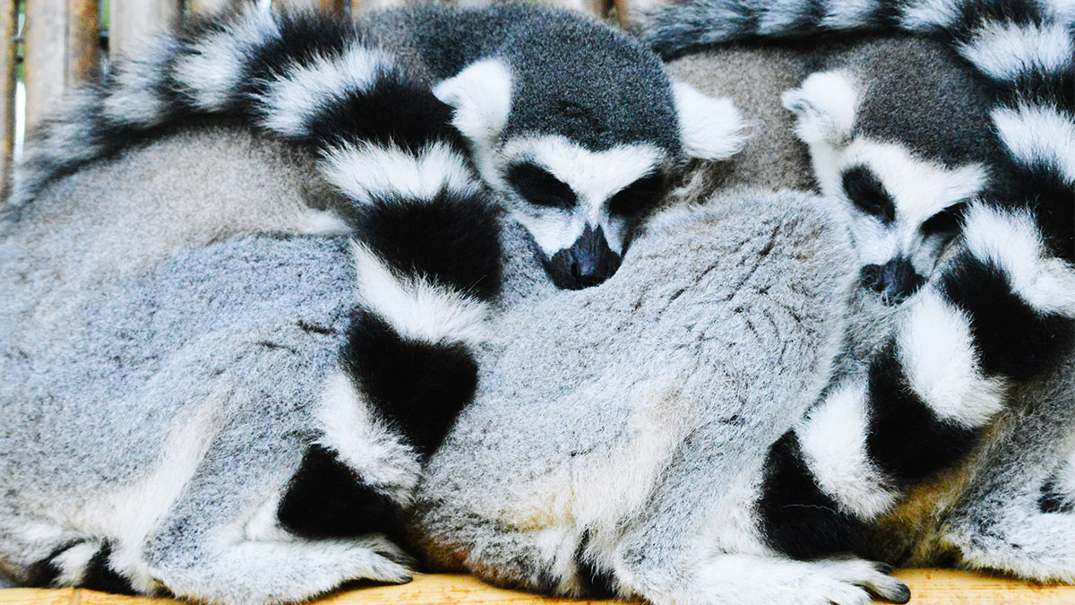 Resilience Is About How You Recharge, Not How You Endure
Please take a look at this #hbr article. Great food for thought.  bit.ly/2XBfDTQ