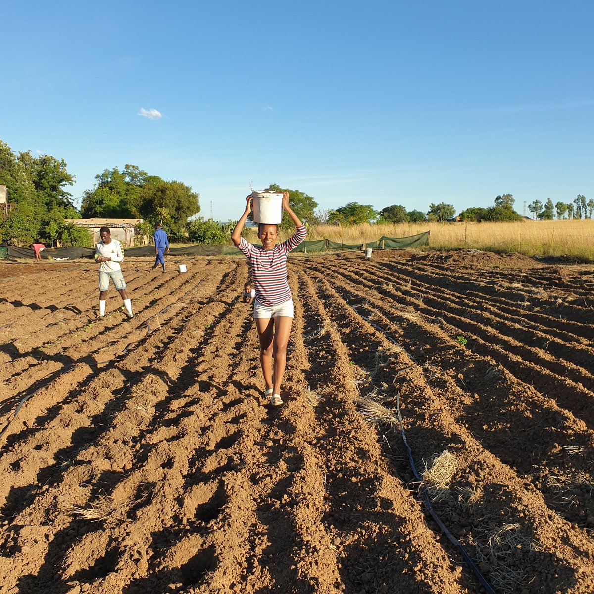 proficience's tweet image. #NewProfilePic