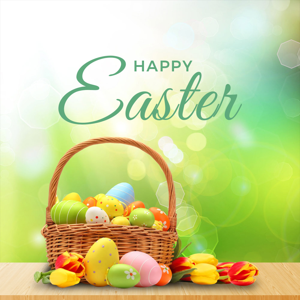 greenbayremodel's tweet photo. Wishing you an Easter filled with love, light, and lots of chocolate bunnies. #greenbayremodeling #remodelingcontractors #easterbasket #hoppyeaster https://t.co/lMs2hTvqjc