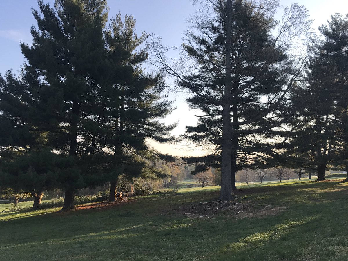 phillymayorscup's tweet image. No matter how you chose to spend your weekend, we hope it’s been one filled with peace. We’ll be together again soon. #runphilly #run #socialdistancerun #hope