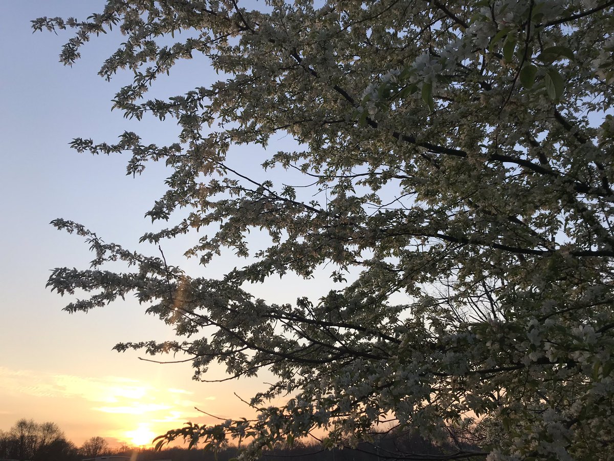 phillymayorscup's tweet image. No matter how you chose to spend your weekend, we hope it’s been one filled with peace. We’ll be together again soon. #runphilly #run #socialdistancerun #hope