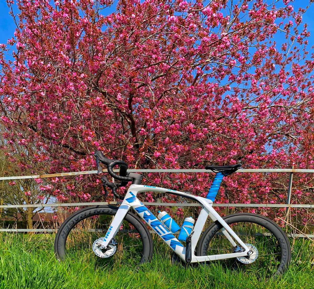 Pink alert 🚨 #cotswolds #timeheals #cotswoldcycling #socialdistancing #ridesolo #springsunshine #keeppedalling #ironmantraining #pink #blossom #cyclistsfightingcancer #trekbikesuk #cotswoldcycles #charity #cyclinglife #madone #projectone #20in20