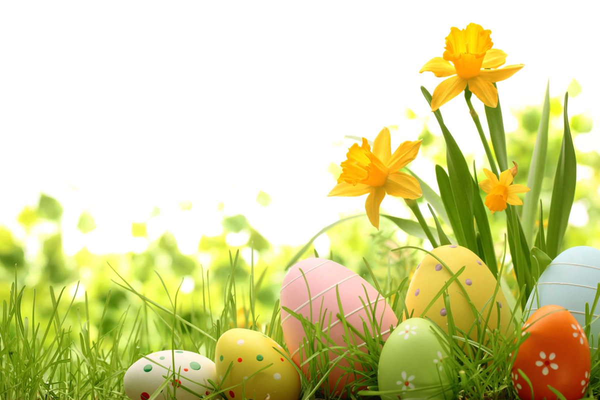 From our family to yours, we wish you a Happy Easter.