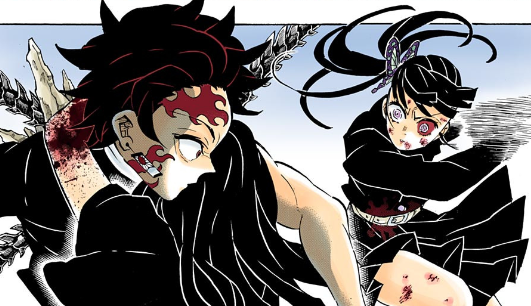 鬼滅の刃 栗花落カナヲ 片目を失明 鬼滅の刃なんかグッときた