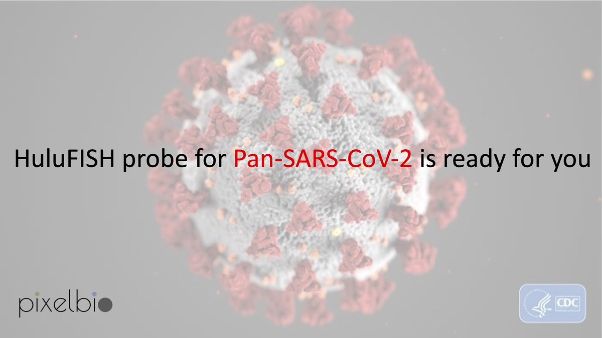 YongshengCheng's tweet photo. Dear #COVID19 researchers, we are supporting your research with 20 FREE #HuluFISH @pixelbiosmfish for a single molecule in situ quantification #SARS_COV_2 in the host cells or RNA extracts. Please reach us at order@pixelbiotech.com ASAP, only 17 left!!! https://t.co/VrXzPjkUVY