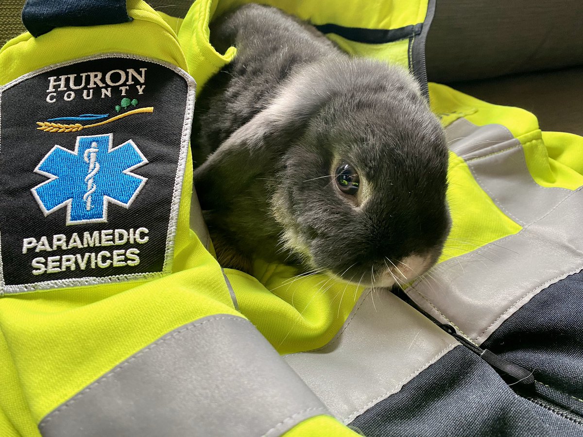 Looks like the Easter Bunny came to visit our paramedics too! 
Have a safe and happy Easter, from your Huron County Paramedics.
