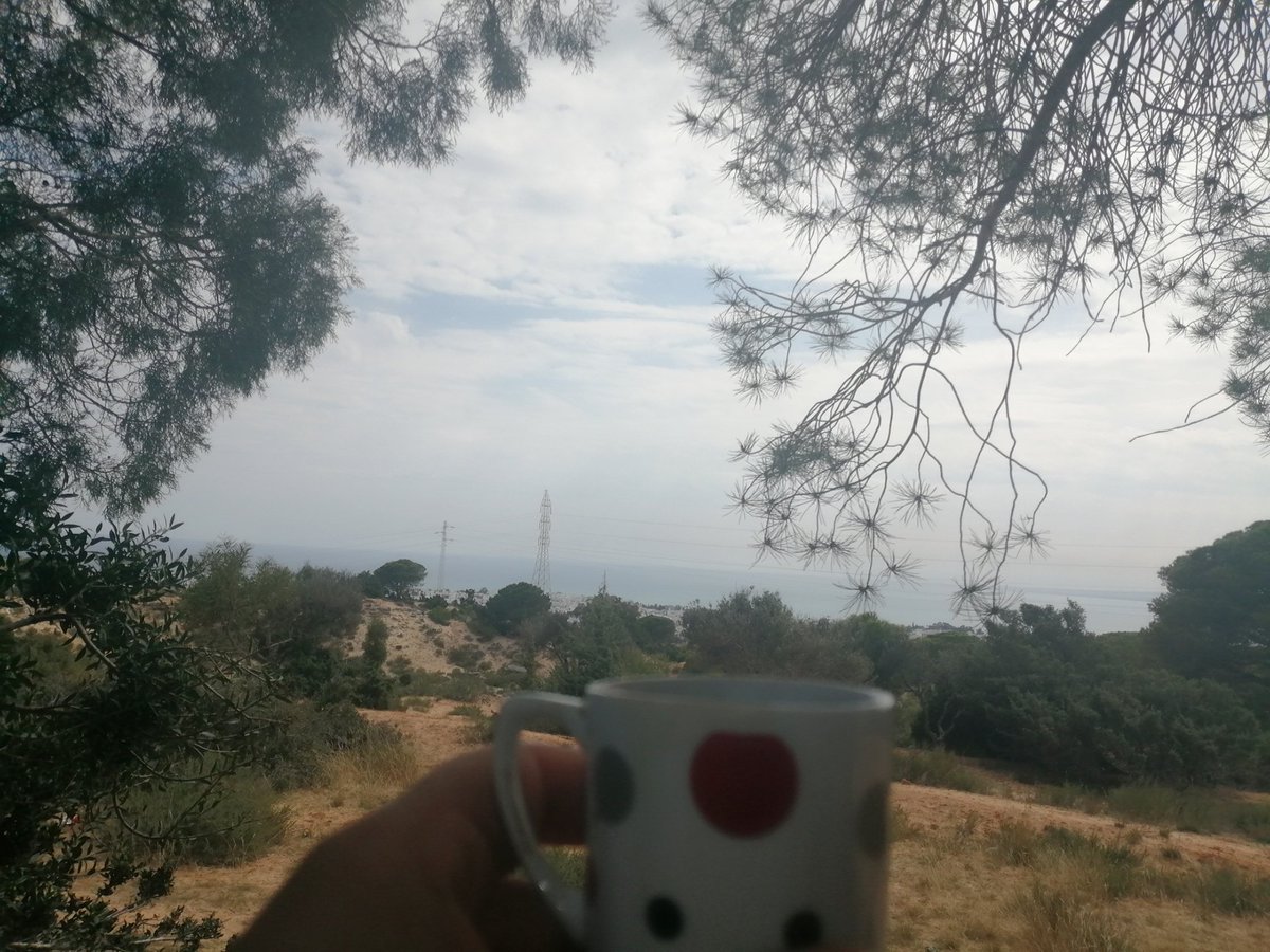 18_vinus's tweet photo. جبل الحمامات #تونس
#Tunisie https://t.co/qhlfQT1niD