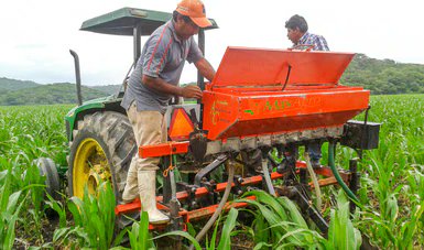 Agricultura_mex's tweet photo. La revista científica Agricultural Systems publicó un artículo donde destaca los estudios realizados por investigadores del @CIMMYTesp relativos a los puntos de maquinaria del programa #MasAgro.

https://t.co/XZP8aaqtZi
#AgriculturaMexicana https://t.co/2KUB6HqidE