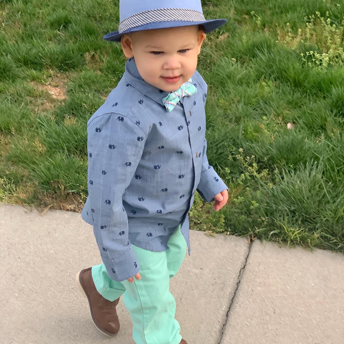 CSFrenchie's tweet photo. What a difference a year can make, but that bow tie game is still strong. #HappyEaster2020 #targetbaby https://t.co/Aa6LeTDnlJ