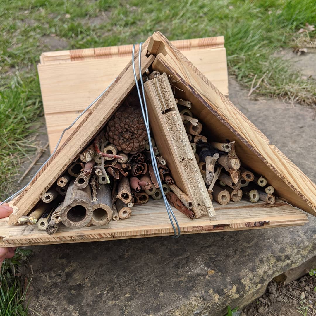 MusingsAndMusic's tweet photo. Trying to improve #biodiversity in our area.....#homemade #beehotel / #bughotel & log heap with fence gap for #hedgehogs #toads & other wildlife....
#climatemergency #greenchanges #beingproductive #funwiththekids #garden #inittogether #lockdown #Shortlands #Bromley #Easter https://t.co/H6rA3k9Xfz