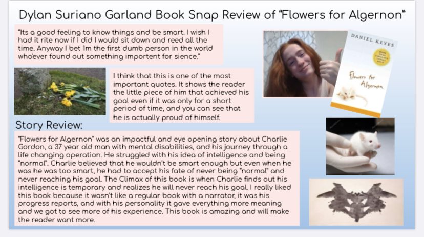 Ela8Nard's tweet photo. 2/2 @RMS_Pride ELA8 #distancelearning Make story reviews that are insightful and thoughtful using technology as a culminating activity to our “Flowers for Algernon” unit. #woreads #wowrites #proudteacher @lizveneziano @woschools @tyniathomassie https://t.co/zox7NTh8wt
