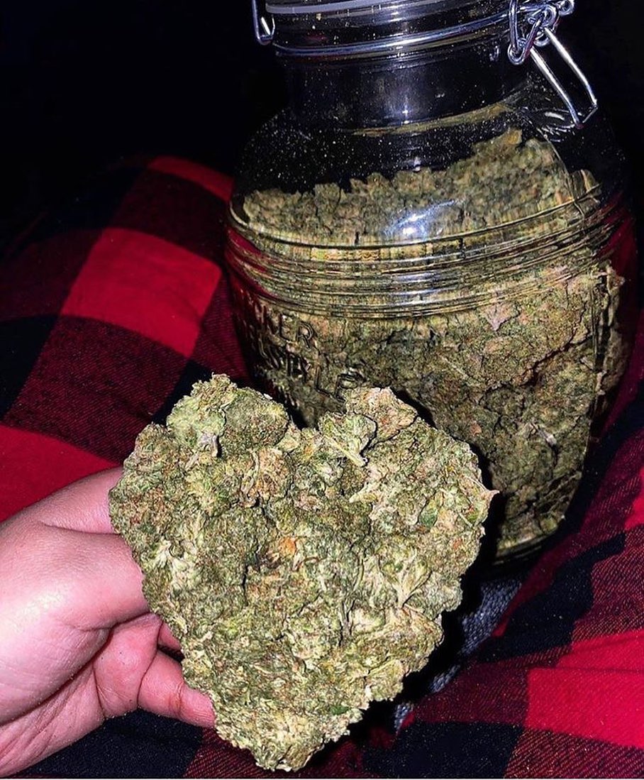 45Dankking's tweet photo. Avez-vous besoin de la meilleure qualité commandez sur/
Snap/mabeuh_98
Wickr/mabeuh98
#Limoges #villeurbanne #Metz #Besançon #Perpignan #Orleans #Caen #mulhouse #rouen #NANCY #boulognebillancourt #ARGENTEUIL #Montreuil #saintdenis #roubais 
#Poitiers #NanterreReveilleToi #creteil https://t.co/ol2VNN0ZYM