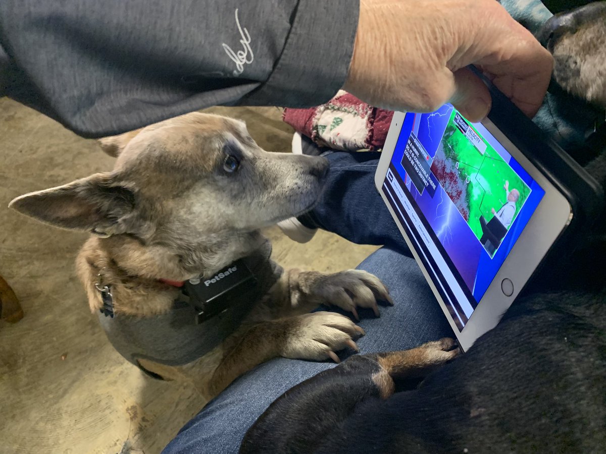 deb_smithson's tweet photo. @spann dog 1 told dog 2 about tornado warning for our area. Dog 2 wanted to see James Spann himself. #findyoursafeplace https://t.co/FW2hExUFoR
