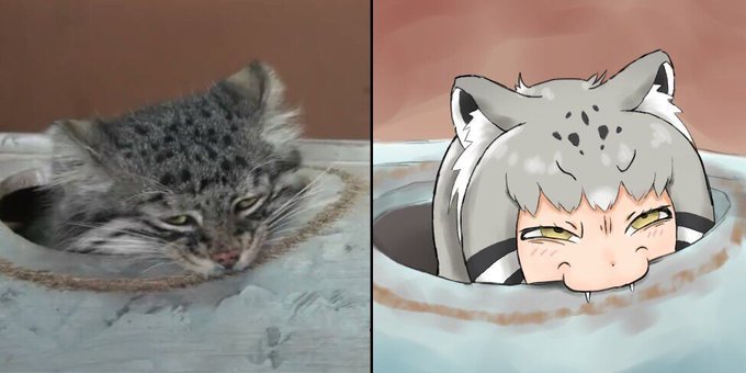 けものフレンズ のtwitterイラスト作品 人気順 けものフレンズ のtwitterイラスト作品 人気順