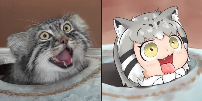 マヌルネコちゃんを描きました再揚 #けものフレンズ 