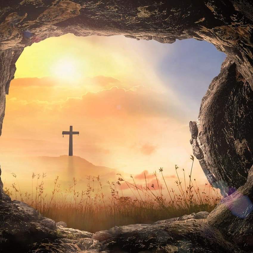 He is risen!! Happy Easter! Although our celebrations look different this year, let Jesus’ rising be our example of the hope God has promised us. From our school family to yours, we hope you have a blessed Easter. #BlessedtobeSJE