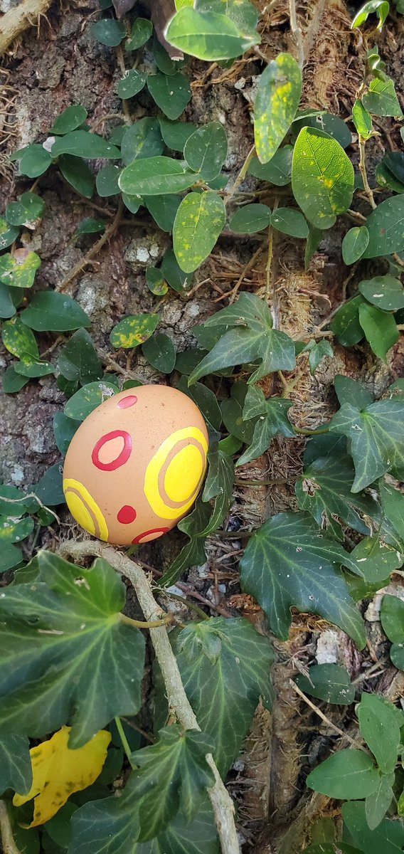 triathlete99's tweet photo. We had a little fun today 
#animalcrossing #acnh
#AnimalCrossingNewHorizions
#eggs https://t.co/hzNQIKiKhu