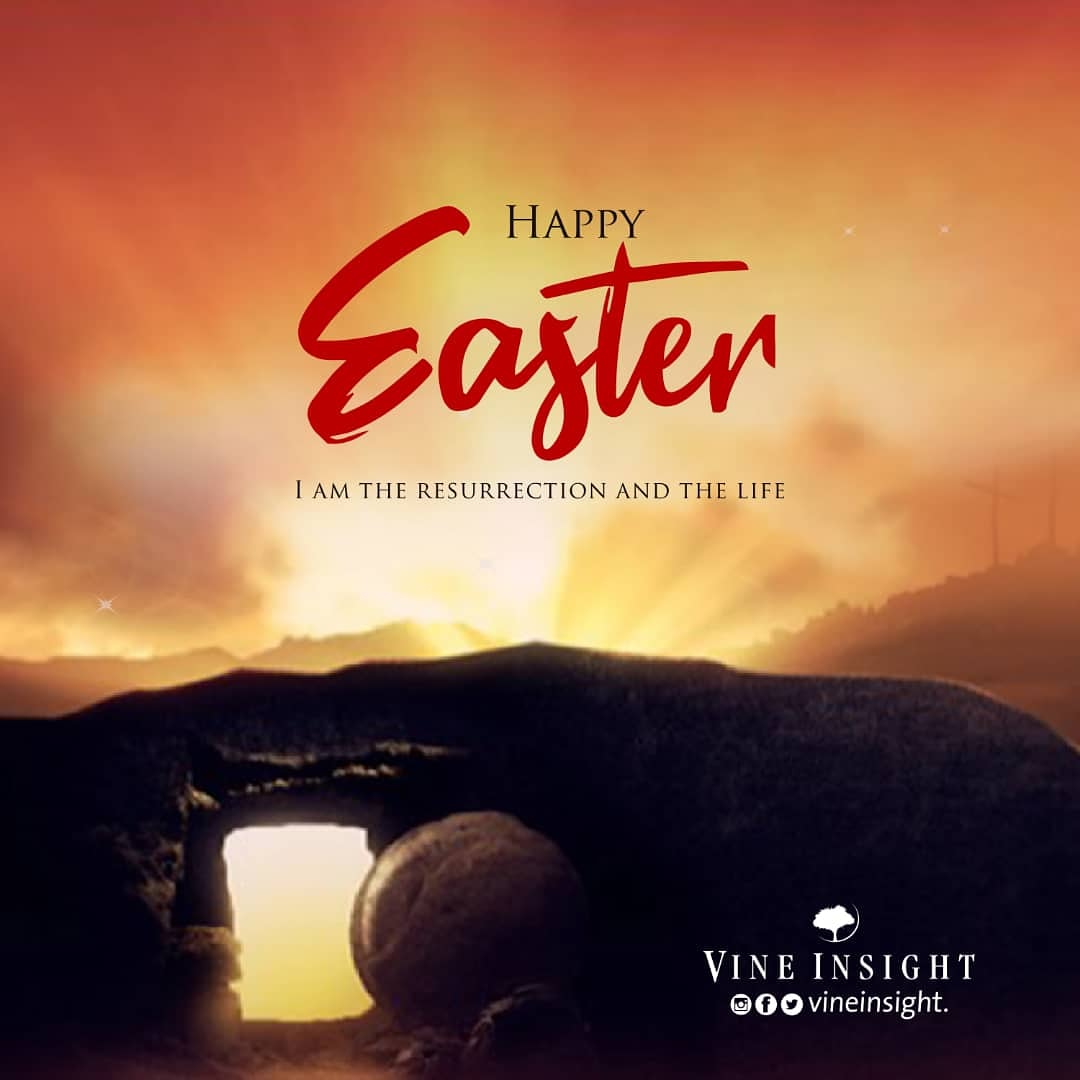 Happy Easter from all of us at Vineinsight
.
.
.
#easter #happyeaster #resurrection