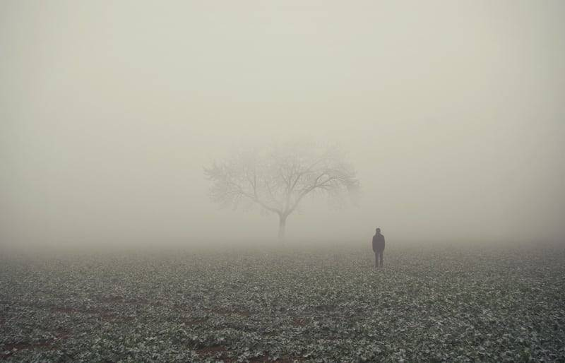 cuán vacíos son los lugares a los que solía ir ahora. Y cómo quiero escapar de ese trauma y construir una vida diferente para mí cuando salga de la cuarentena.” De acuerdo con ciertas teorías psicológicas, los sueños de los humanos han evolucionado para ser como son