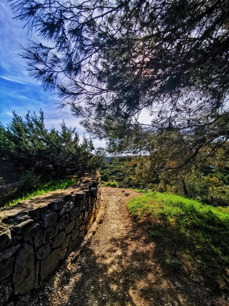 Yxvri_'s tweet photo. Je pose ça là #honor #honor20pro #teamHonor #honorMade @Honor_FR @honor_europe @Honorglobal https://t.co/xB2tRJXc9x