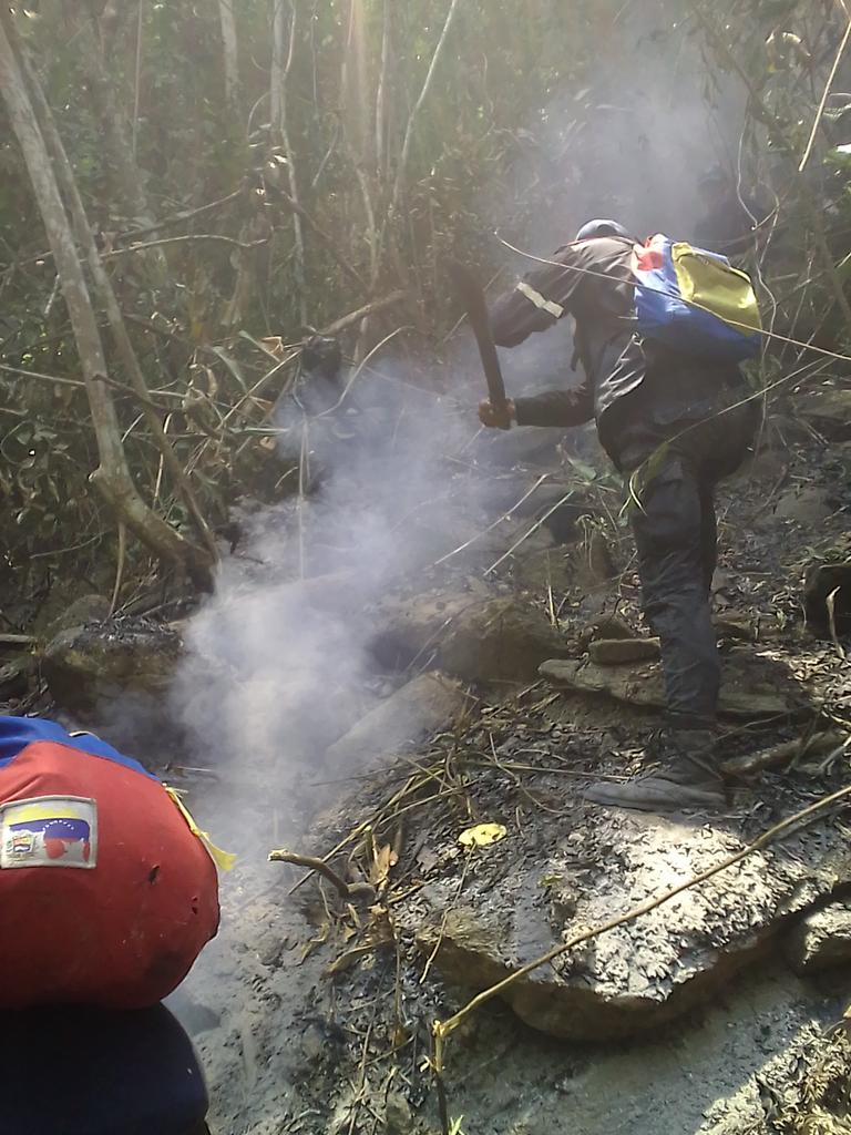 Bomberosforest6's tweet photo. @JULIOLEONYARA Bomberos forestales de inparque en labores de combate de incendio en el monumento cerro marialionza 12/04/2020 https://t.co/0OJMDbUsds