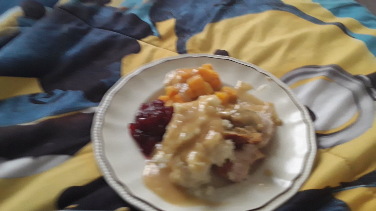 joshthecoolcat's tweet photo. Turkey potatoes squash cranberry sauce https://t.co/OZaRdkIBQv