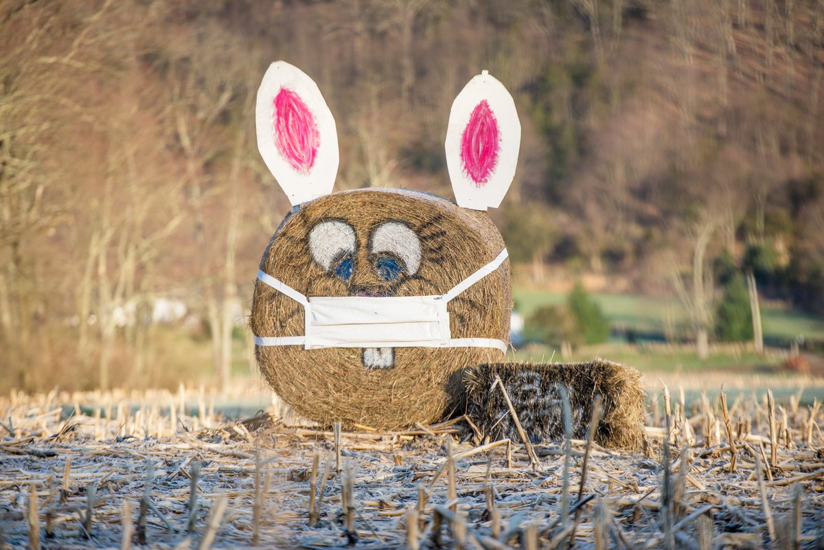 The Easter Bunny visits #NewtownCT and urges all to keep a socially safe distance. #HappyEaster #Easter2020 #coronavirus