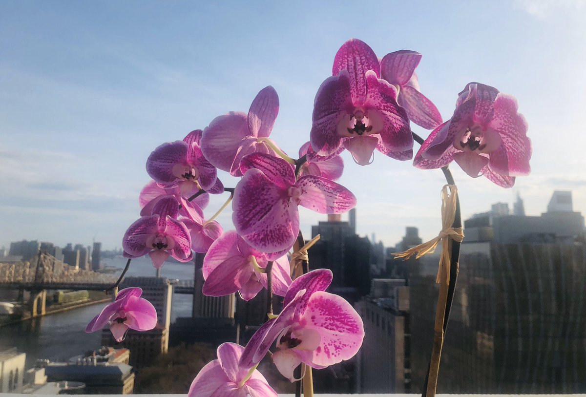 Brendon Stiles tweet media