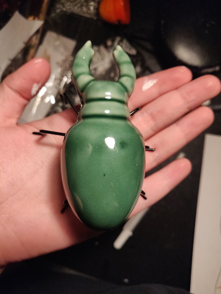 Day 31. Parents made sausages. Animal crossing. Started rollarskating again. Planned for my routine noe that I don't go to school anymore. Chilled in the sun. Read homestuck. Drew some gore I won't show. Forgot to mention I got this beetle at the store yesterday.