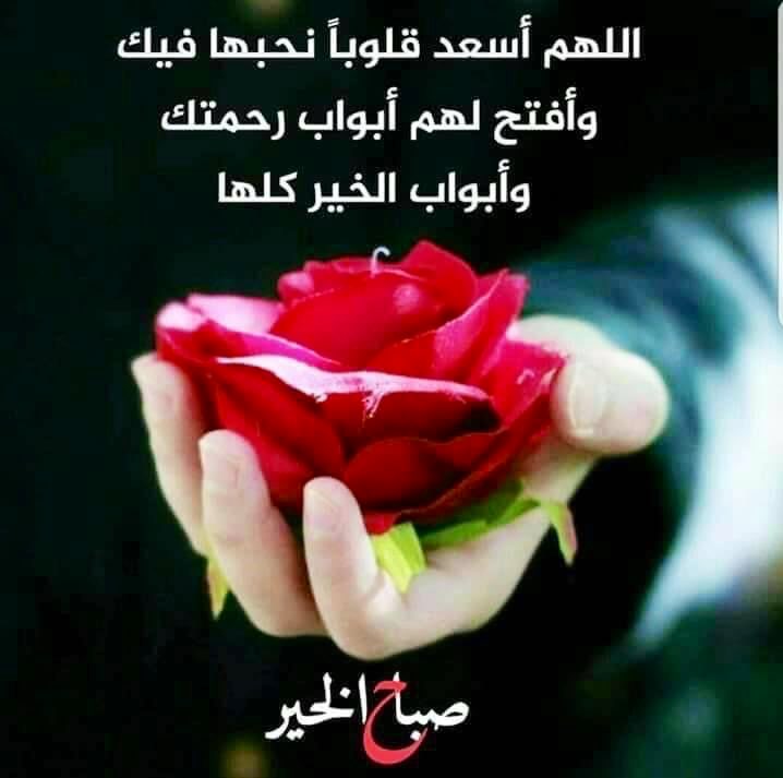 #الرتويت_السلطاني_للدعم tweet media