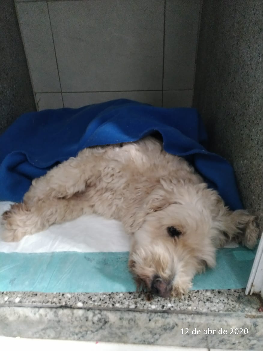 Bruninhaihi's tweet image. você vai melhorar, meu amor 😓❤️
#baraque