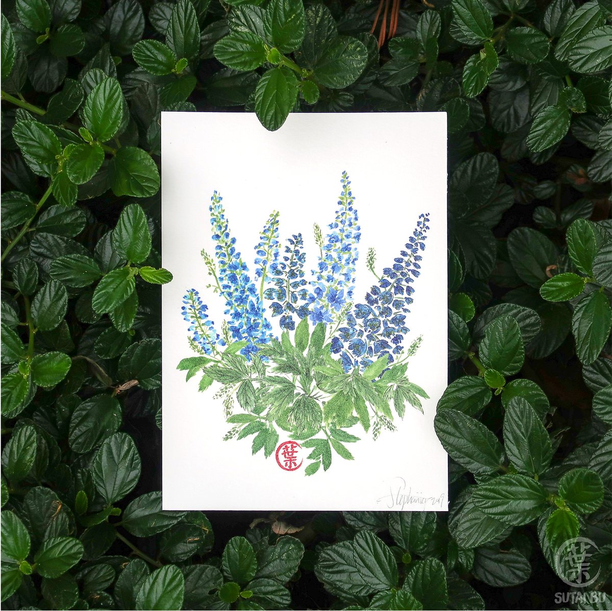 Feeling blue today?

bit.ly/sutaibu-artpri…
-----
#dailyart#floral
#watercolor_daily#looseflorals
#paintingplants#surfacedesign
#plantlove#floralpattern
#botanicalillustrations#wildflowers