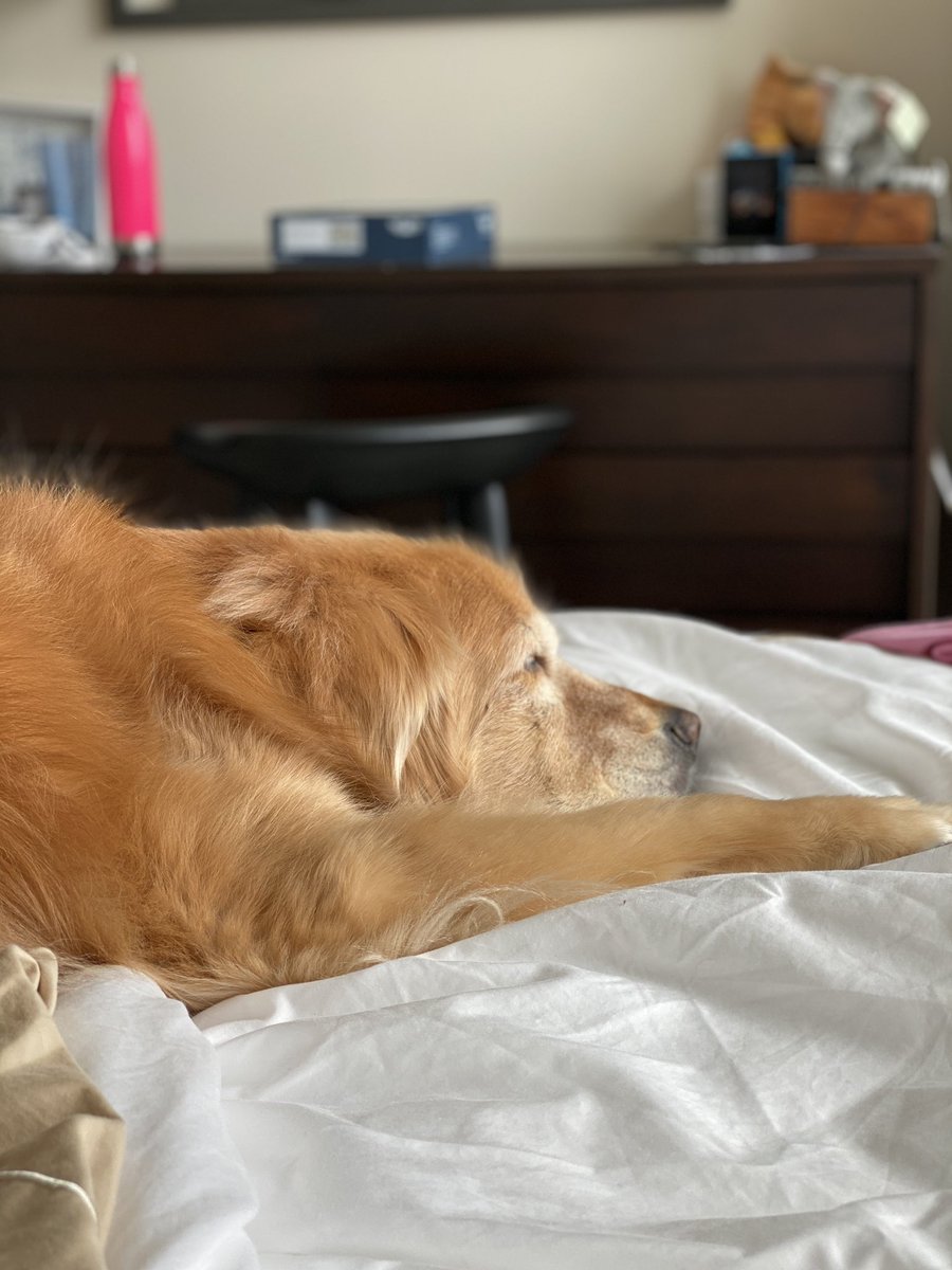 Thinks Wife tweet media