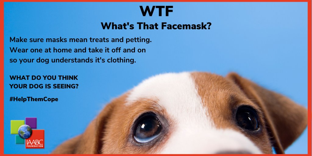 iaabc's tweet photo. It's definitely strange and unusual times at the moment. Facemasks are the new norm, but it's likely something your dog has never seen before. #HelpThemCope https://t.co/DbXbGLuyOe