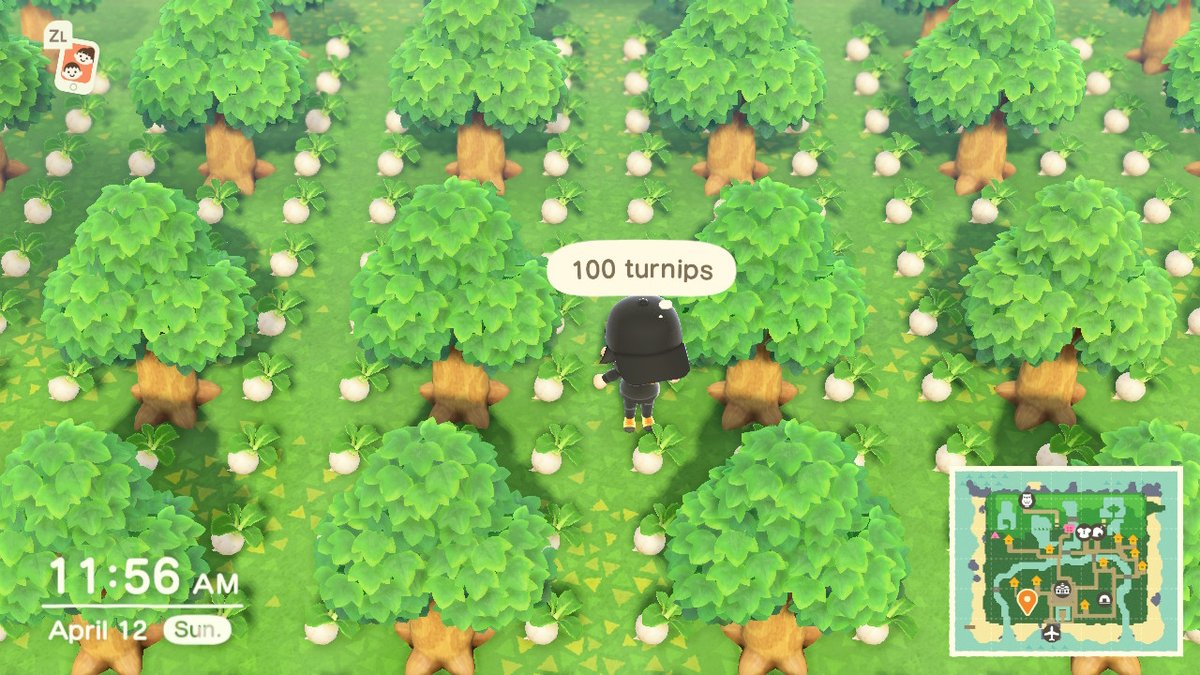 Sneakinrican_'s tweet image. Ended up buying 14k turnips this morning. Now to watch the market #ThisIsHowIWin #turnipprices #AnimalCrossing #ACNH #NintendoSwitch