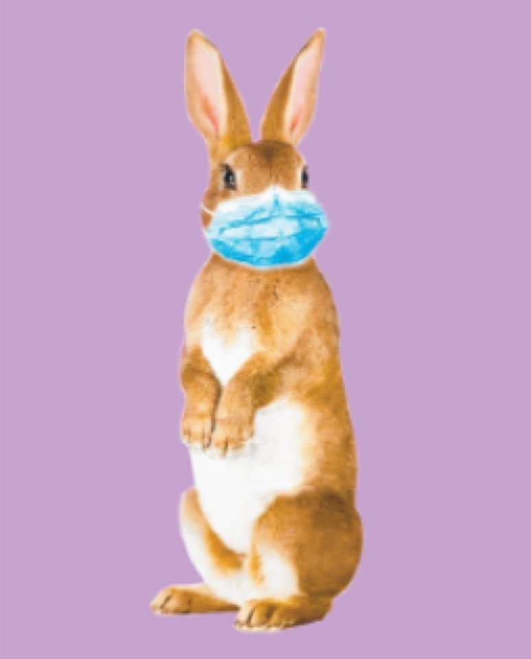129Schmidt's tweet photo. Happy Easter https://t.co/vLF2EfRG7t