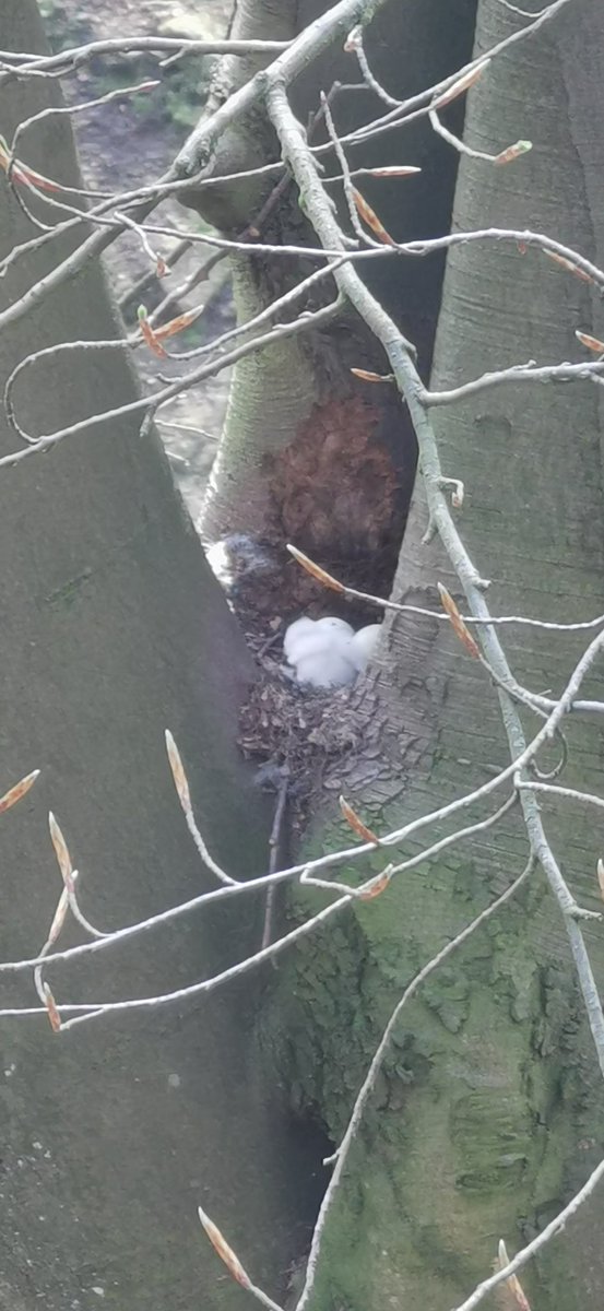 Mark Bruce tweet media