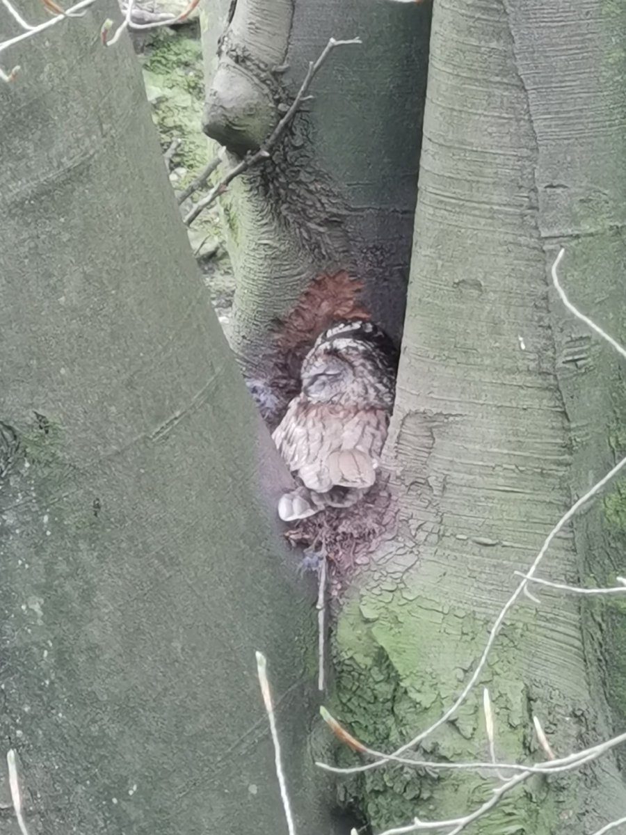 Mark Bruce tweet media