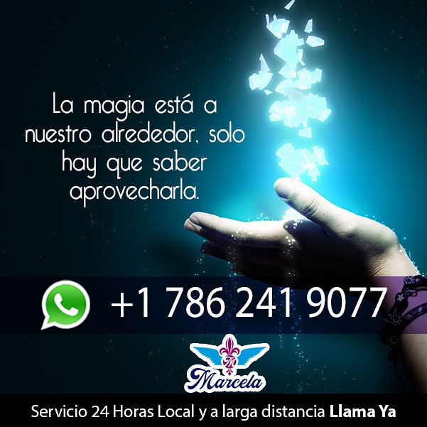 marcelavidente's tweet photo. 💫 En mis consultas, podrás ver como aprovecho estas artes para indicarte los caminos correctos en tu vida #Consulta #Magia 
🤳 Contacta conmigo 🤳⁣
a través de mi número telefónico y te haré un trabajo 100% garantizado! 💯⁣
👉¡Contáctame! 💬⁣
⁣
📞 786 241 90 77 📞 ⁣ https://t.co/XXLU5FjJ9U