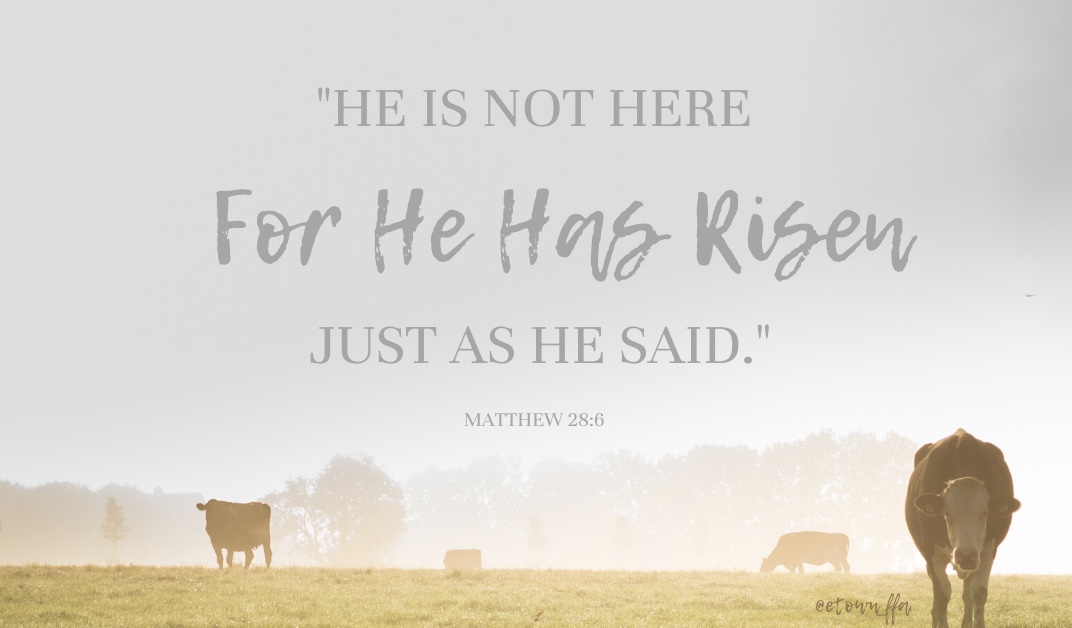 Elizabethtown FFA tweet media